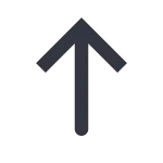 Arrow Top SVG Icon
